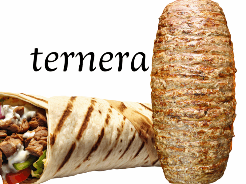 Kebab de Ternera