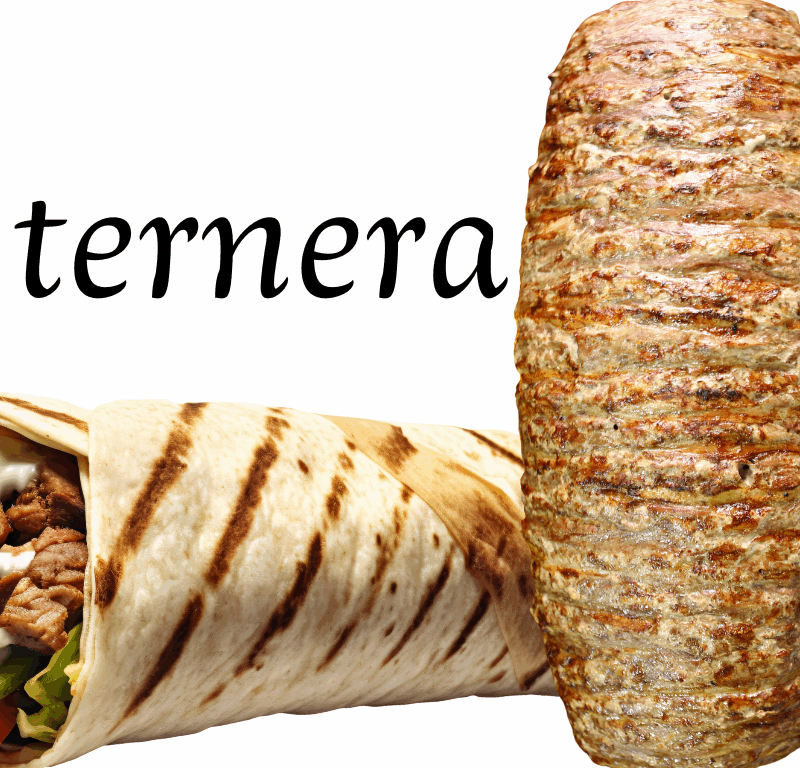 Kebab de Ternera
